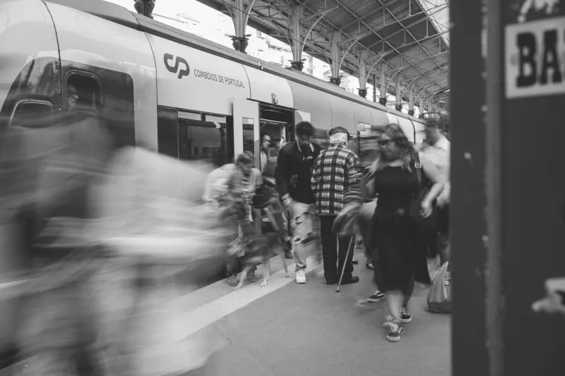 Des tribus qu'on croise tous les matins : la faune du Transilien passée au scanner